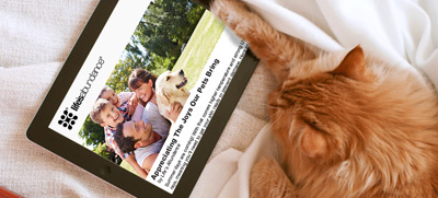 newsletter-banner
