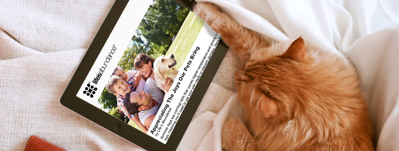 newsletter-banner