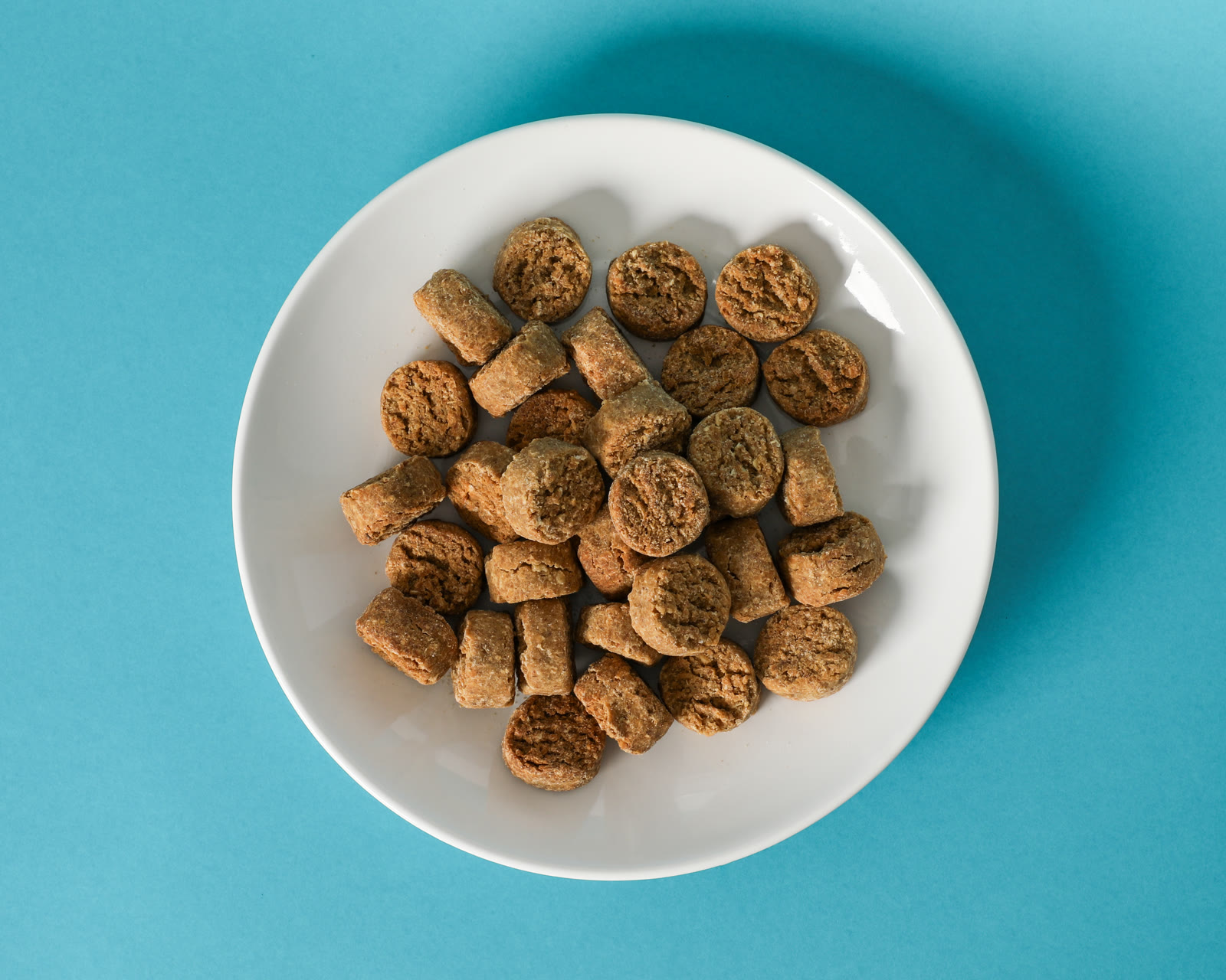 Gourmet Dental Treats in a white bowl on a teal background