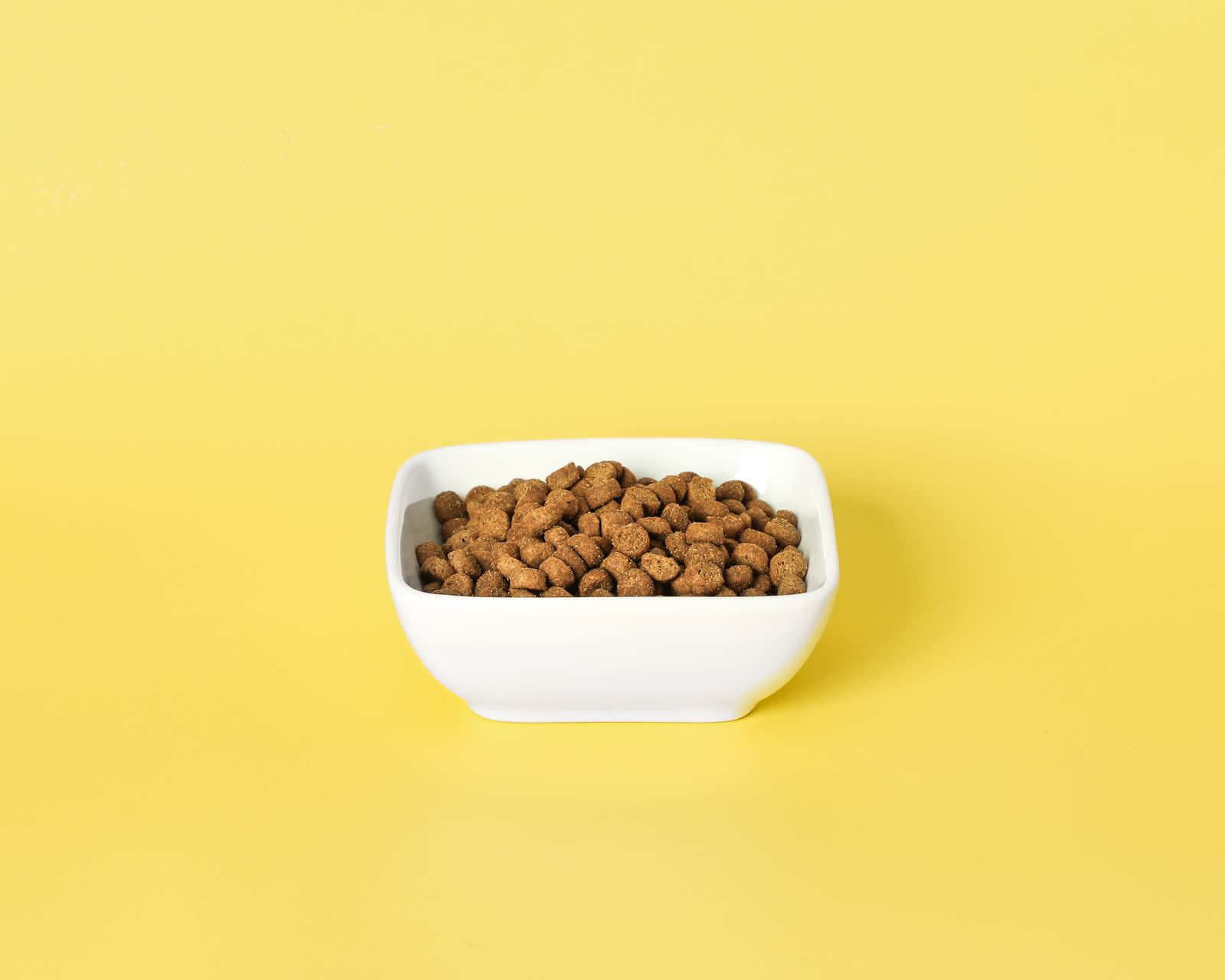 Grain Free All Life Stage cat food kibble in a white bowl on a yellow background