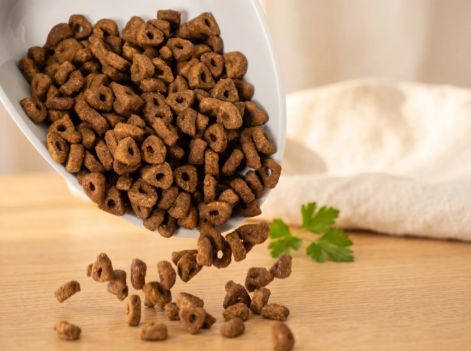 All Life Stage cat food being poured into a bowl in warm morning light