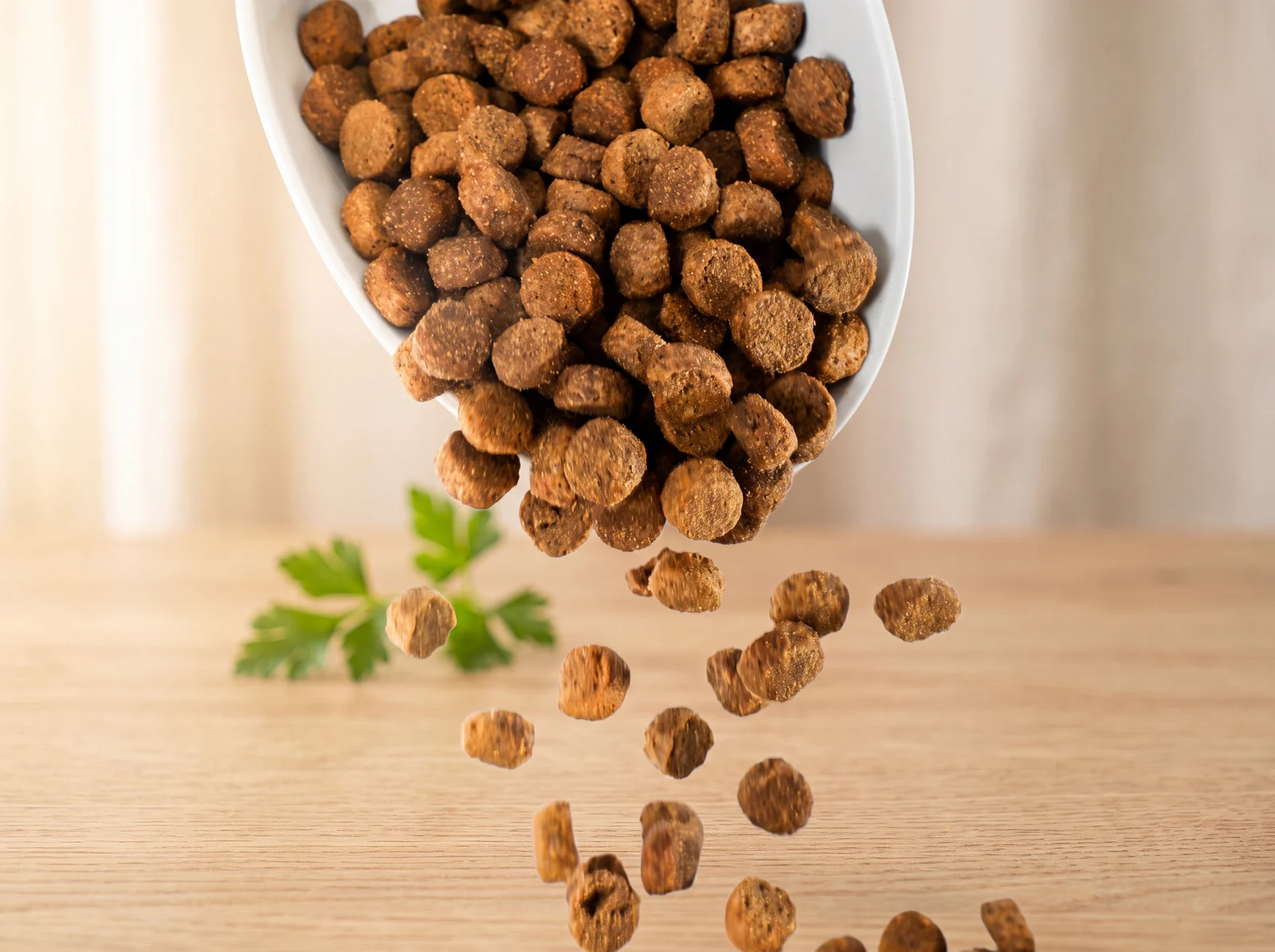 Large Breed Puppy Food kibble pouring into a bowl in warm morning light