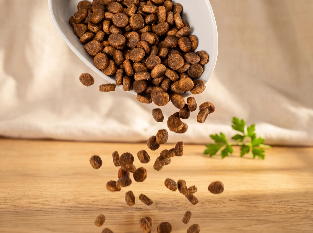 Small and Medium Breed Puppy Food kibble pouring into a bowl in warm morning light