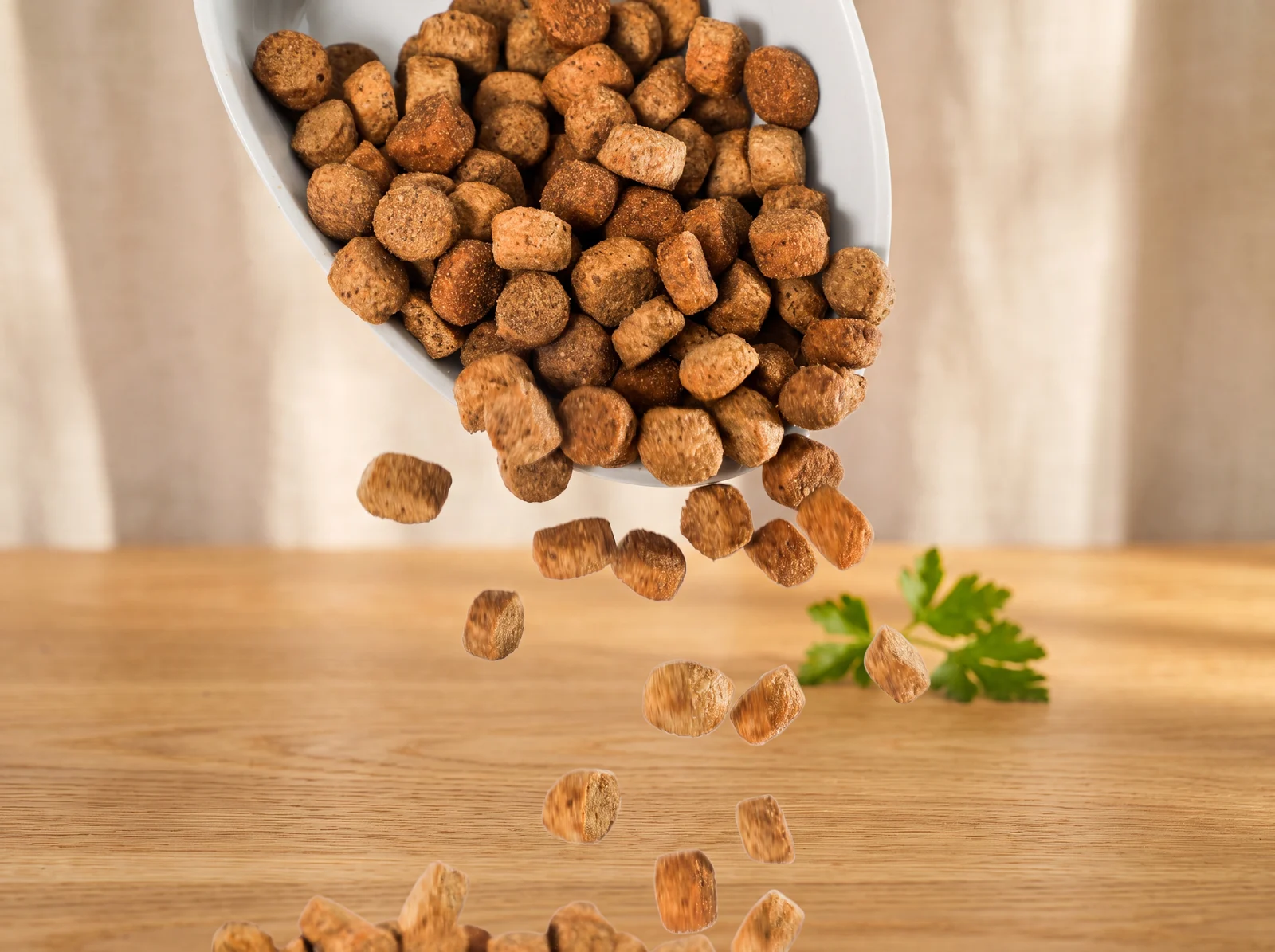 Adult Weight Loss Dog Food kibble pouring into a bowl in warm morning light
