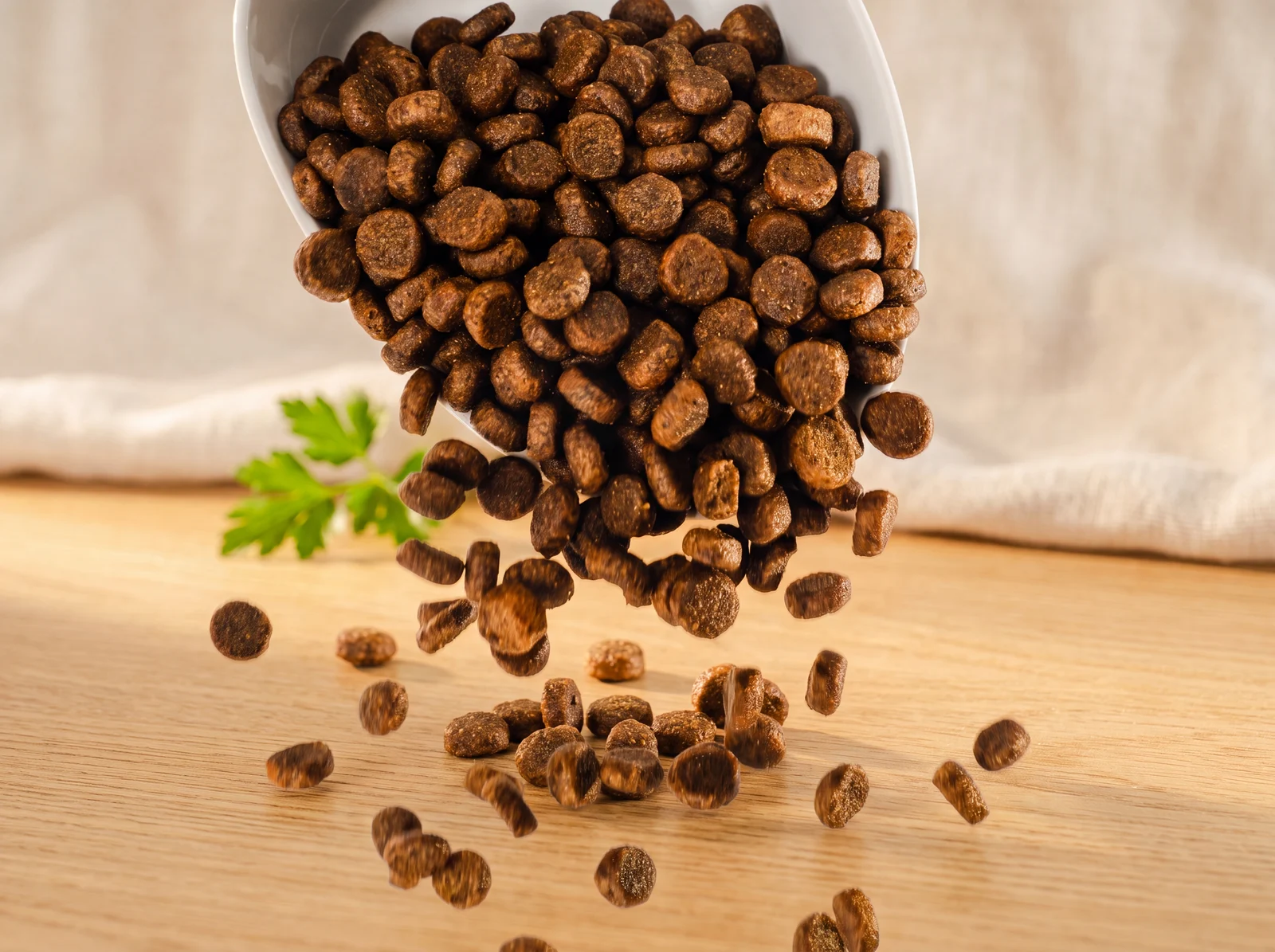 Grain Free All Life Stage kibble pouring into a bowl in warm morning light