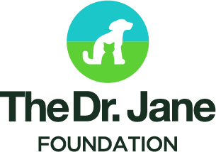 The Dr. Jane Foundation