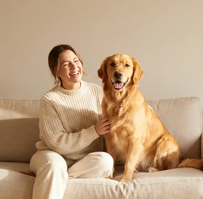 Happy golden retriever sitting with their owner