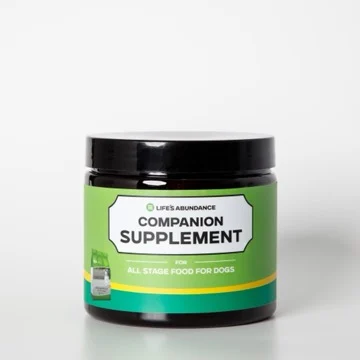 Companion Supplement for