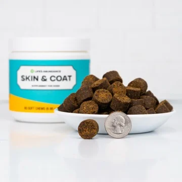 Skin & Coat Soft Chews