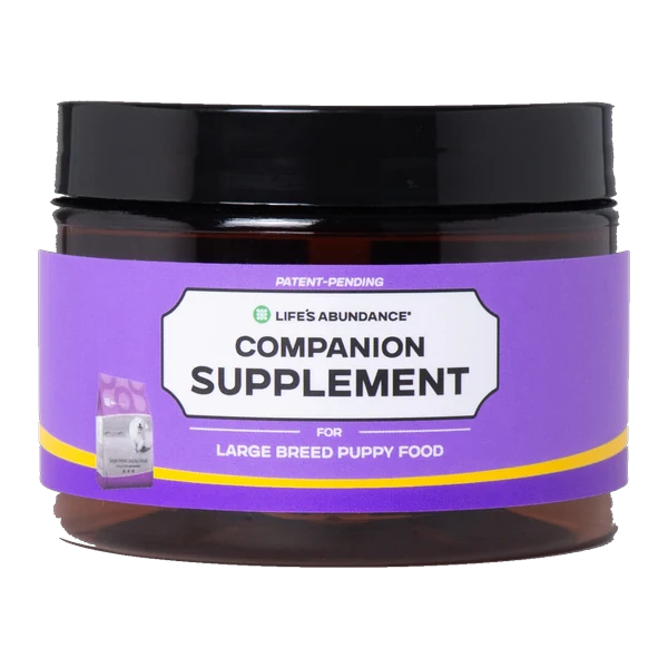 Companion Supplement